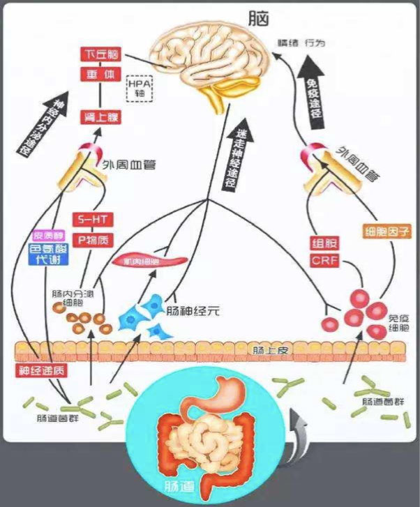 焦虑症