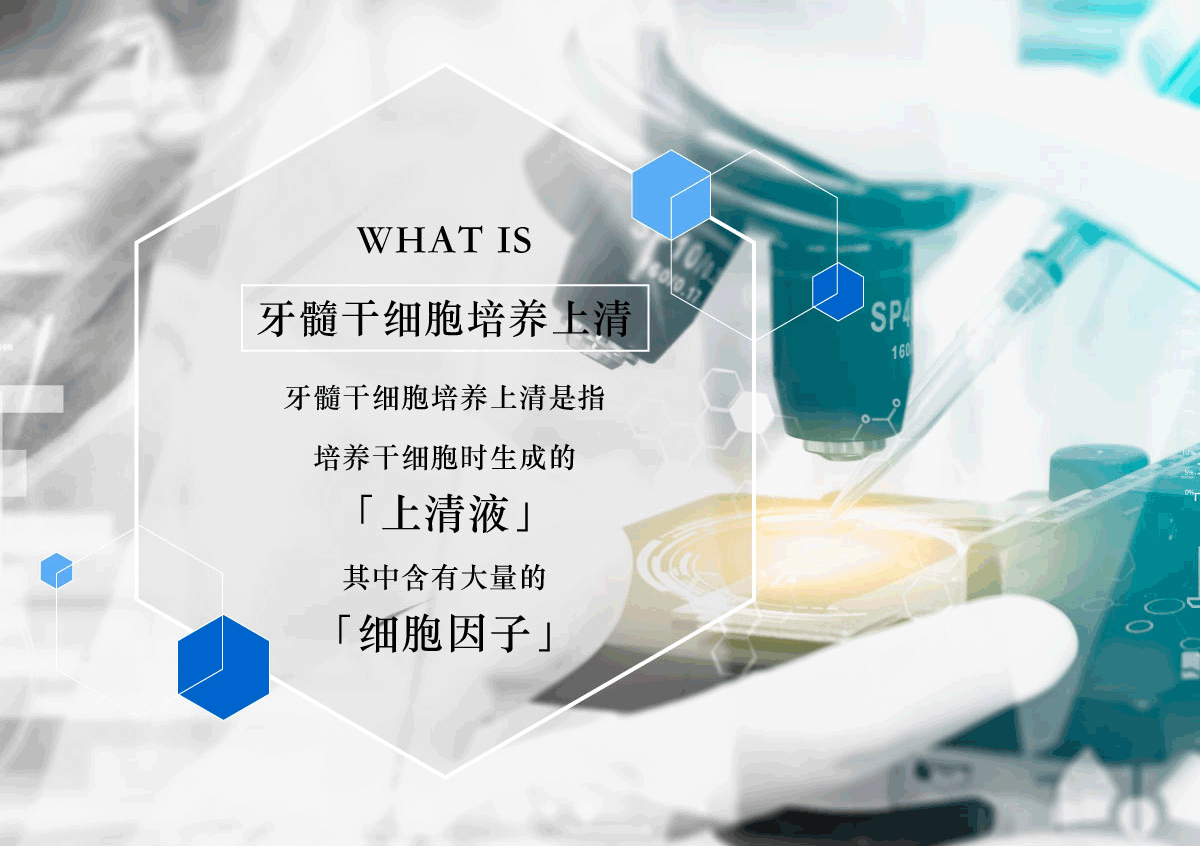 What is 牙髓干细胞培养上清